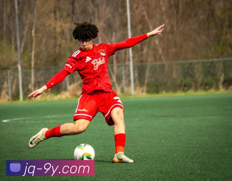 九游官网APP 封面图